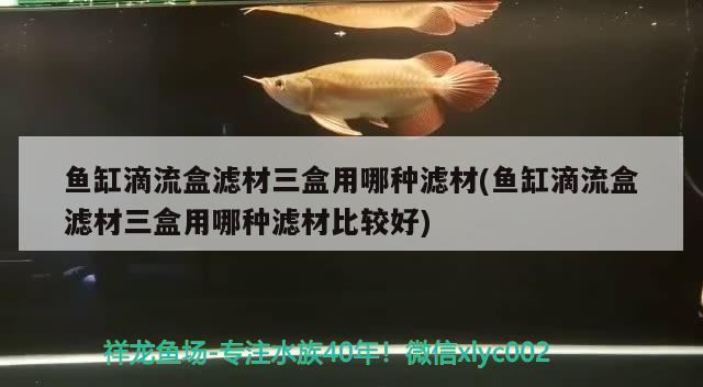 魚缸滴流盒濾材三盒用哪種濾材(魚缸滴流盒濾材三盒用哪種濾材比較好) 超血紅龍魚