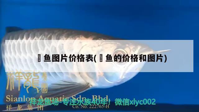 魟魚圖片價(jià)格表(鳡魚的價(jià)格和圖片)