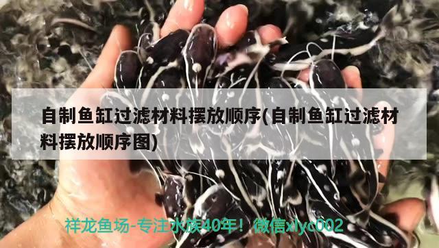 自制魚缸過濾材料擺放順序(自制魚缸過濾材料擺放順序圖) 過背金龍魚 第2張