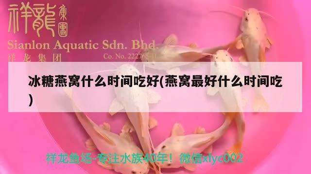 冰糖燕窩什么時(shí)間吃好(燕窩最好什么時(shí)間吃)