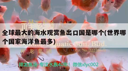 全球最大的海水觀賞魚出口國是哪個(世界哪個國家海洋魚最多)