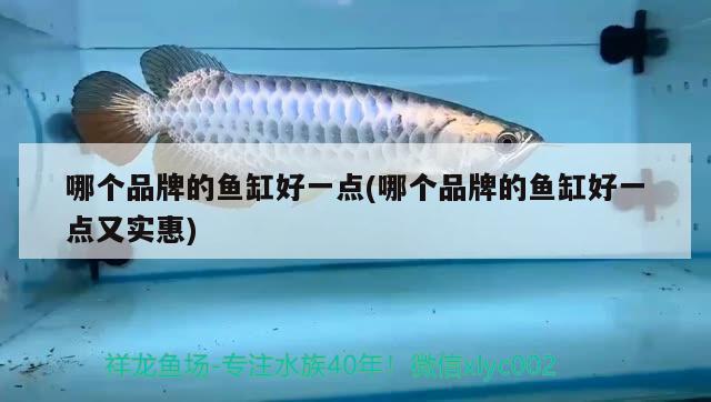 哪個(gè)品牌的魚(yú)缸好一點(diǎn)(哪個(gè)品牌的魚(yú)缸好一點(diǎn)又實(shí)惠)