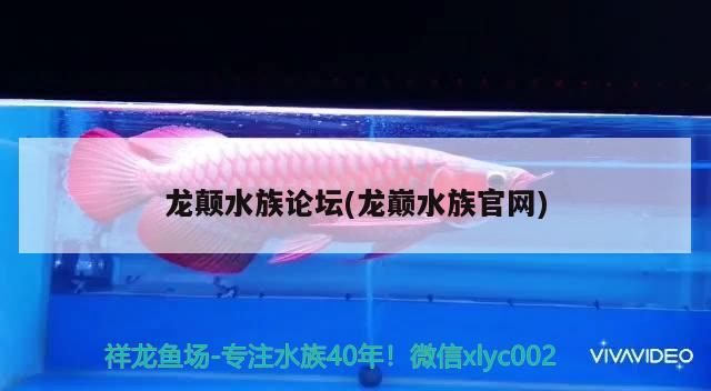 龍顛水族論壇(龍巔水族官網(wǎng))