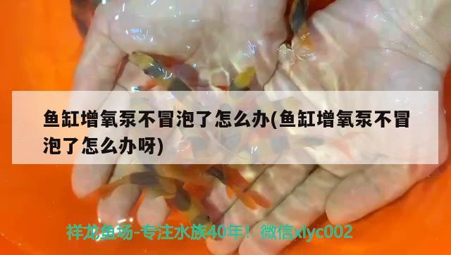 魚缸增氧泵不冒泡了怎么辦(魚缸增氧泵不冒泡了怎么辦呀) 照明器材