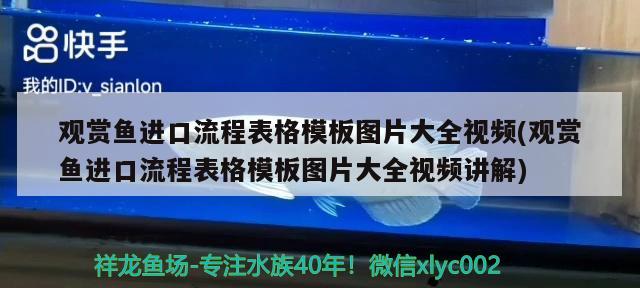 觀賞魚進口流程表格模板圖片大全視頻(觀賞魚進口流程表格模板圖片大全視頻講解)