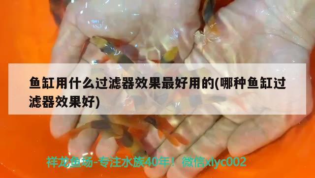 魚缸用什么過濾器效果最好用的(哪種魚缸過濾器效果好) 羅漢魚批發(fā)