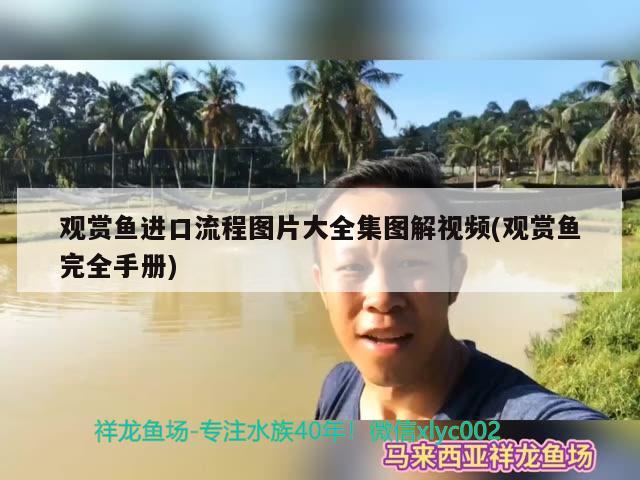 觀賞魚進口流程圖片大全集圖解視頻(觀賞魚完全手冊) 觀賞魚進出口