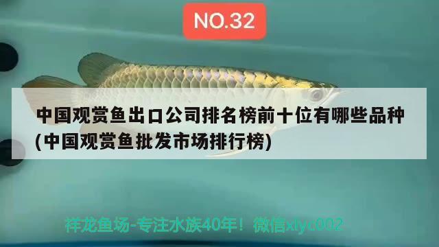 中國觀賞魚出口公司排名榜前十位有哪些品種(中國觀賞魚批發(fā)市場排行榜) 觀賞魚進出口 第2張