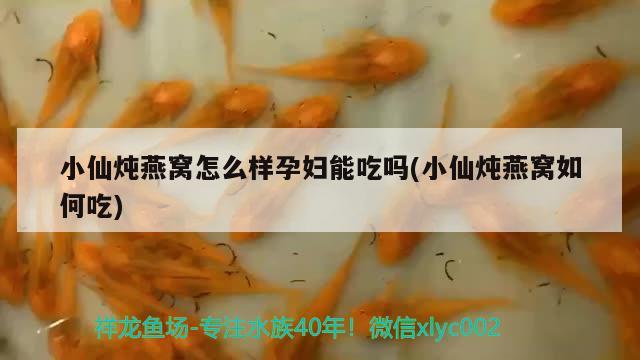 小仙燉燕窩怎么樣孕婦能吃嗎(小仙燉燕窩如何吃) 馬來(lái)西亞燕窩