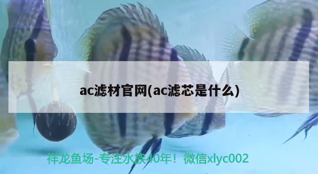 ac濾材官網(wǎng)(ac濾芯是什么) 大嘴鯨魚