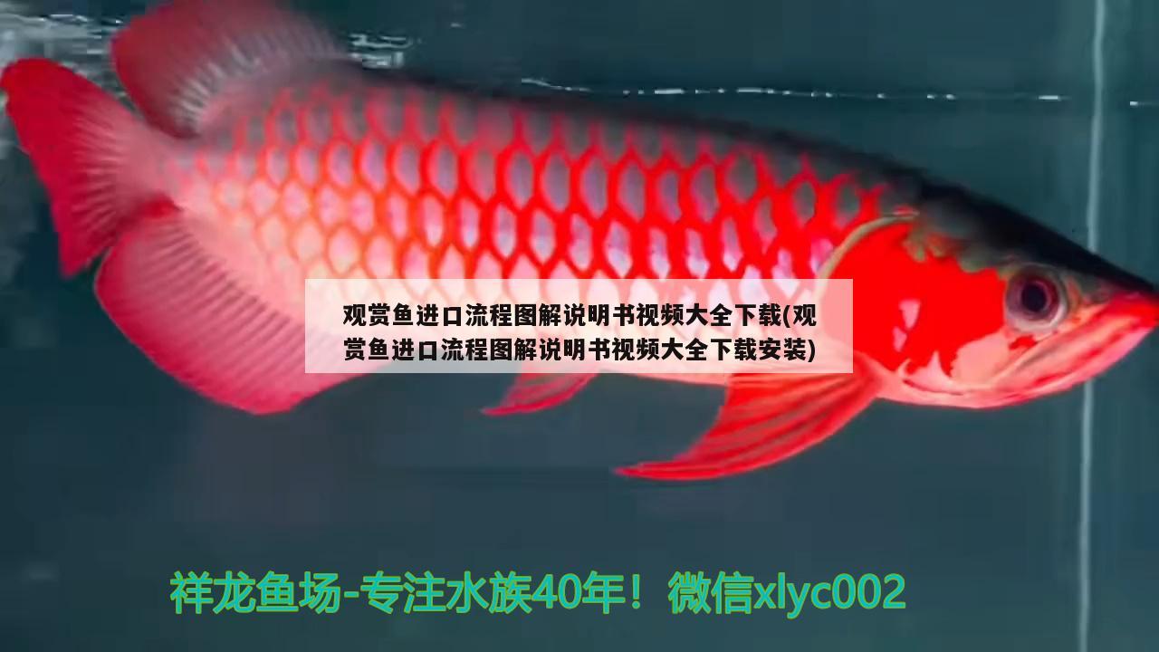 觀賞魚進口流程圖解說明書視頻大全下載(觀賞魚進口流程圖解說明書視頻大全下載安裝) 觀賞魚進出口