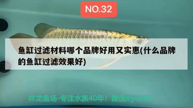 魚缸過濾材料哪個品牌好用又實惠(什么品牌的魚缸過濾效果好) 噴點菠蘿魚