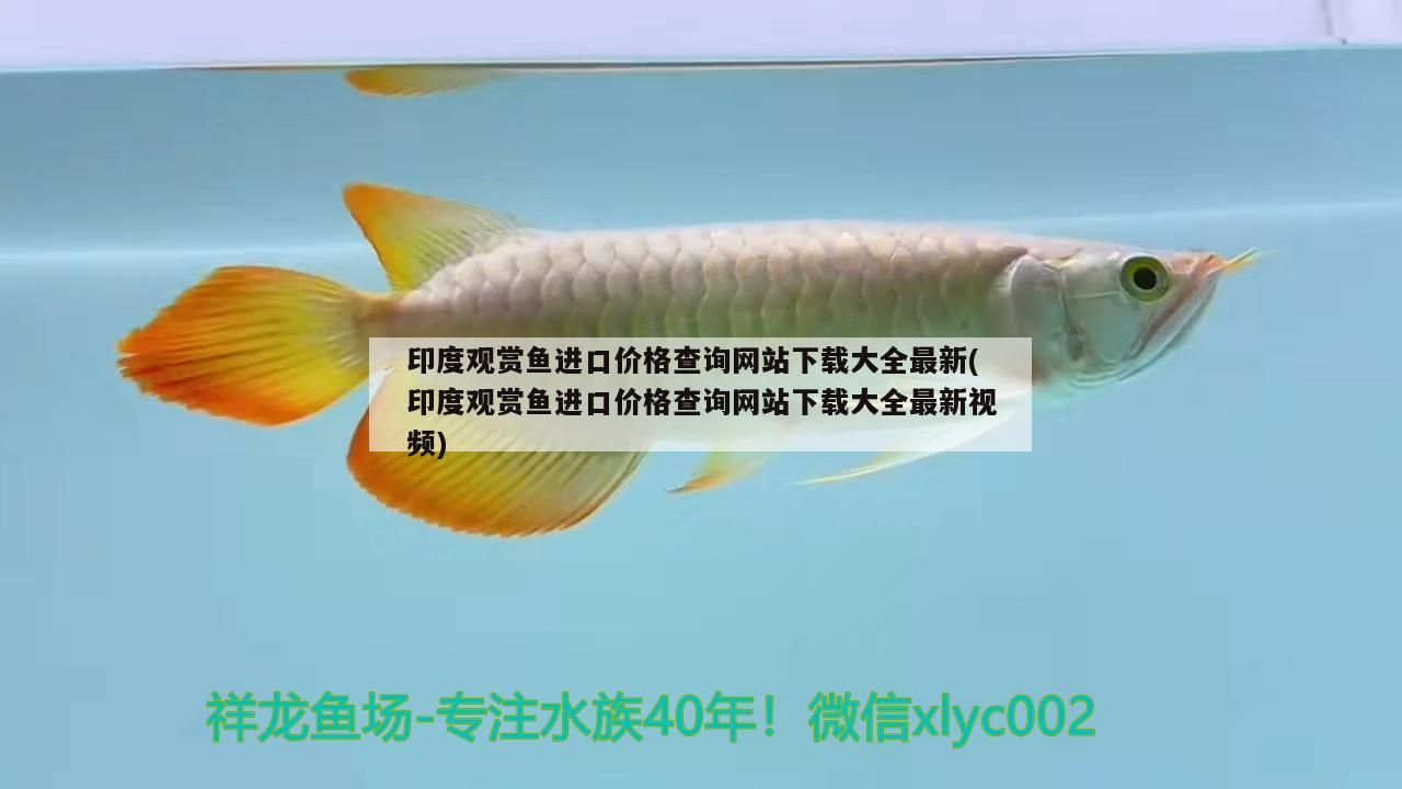 印度觀賞魚(yú)進(jìn)口價(jià)格查詢(xún)網(wǎng)站下載大全最新(印度觀賞魚(yú)進(jìn)口價(jià)格查詢(xún)網(wǎng)站下載大全最新視頻) 觀賞魚(yú)進(jìn)出口