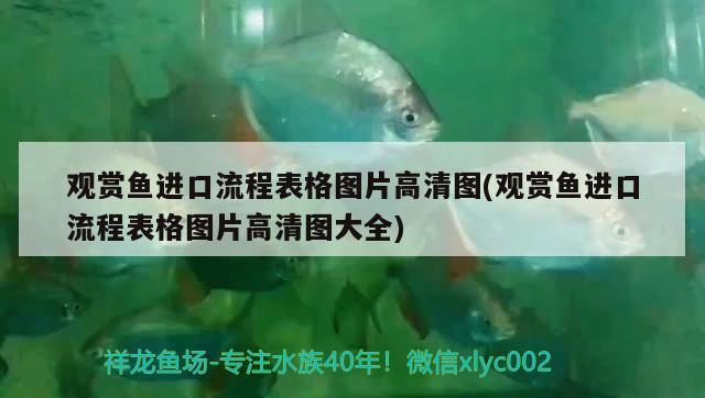 觀賞魚進(jìn)口流程表格圖片高清圖(觀賞魚進(jìn)口流程表格圖片高清圖大全)