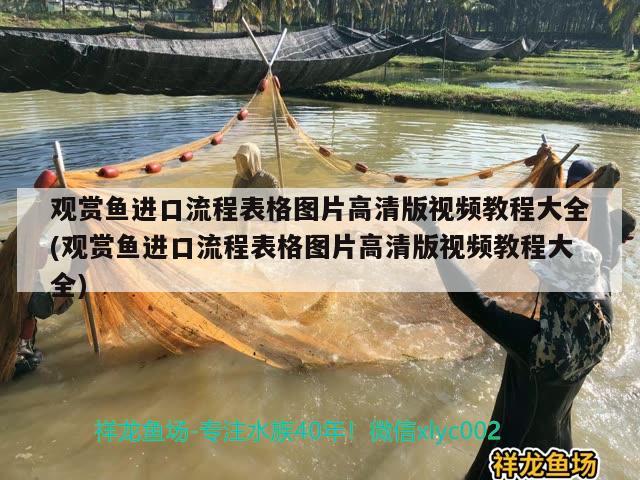 觀賞魚進口流程表格圖片高清版視頻教程大全(觀賞魚進口流程表格圖片高清版視頻教程大全) 觀賞魚進出口