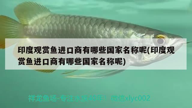 印度觀賞魚進(jìn)口商有哪些國家名稱呢(印度觀賞魚進(jìn)口商有哪些國家名稱呢) 觀賞魚進(jìn)出口