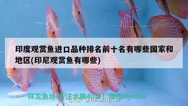 印度觀賞魚進口品種排名前十名有哪些國家和地區(qū)(印尼觀賞魚有哪些) 觀賞魚進出口