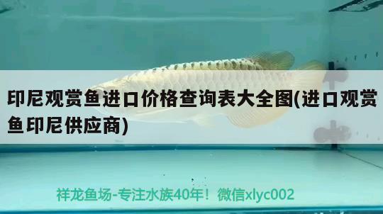 印尼觀賞魚進(jìn)口價(jià)格查詢表大全圖(進(jìn)口觀賞魚印尼供應(yīng)商)