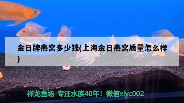 金日牌燕窩多少錢(上海金日燕窩質(zhì)量怎么樣) 馬來(lái)西亞燕窩