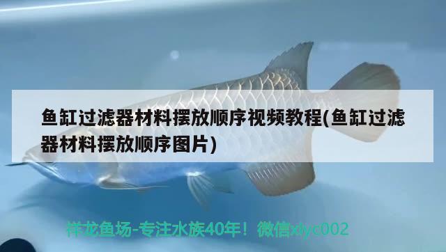 魚缸過濾器材料擺放順序視頻教程(魚缸過濾器材料擺放順序圖片) 二氧化碳設(shè)備