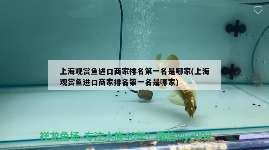 上海觀賞魚進(jìn)口商家排名第一名是哪家(上海觀賞魚進(jìn)口商家排名第一名是哪家) 觀賞魚進(jìn)出口