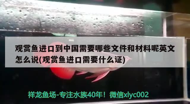 觀賞魚進口到中國需要哪些文件和材料呢英文怎么說(觀賞魚進口需要什么證) 觀賞魚進出口