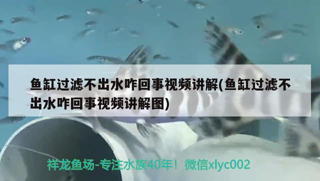 魚缸過濾不出水咋回事視頻講解(魚缸過濾不出水咋回事視頻講解圖) 除藻劑