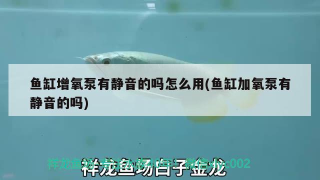 魚(yú)缸增氧泵有靜音的嗎怎么用(魚(yú)缸加氧泵有靜音的嗎) 祥龍魚(yú)場(chǎng)