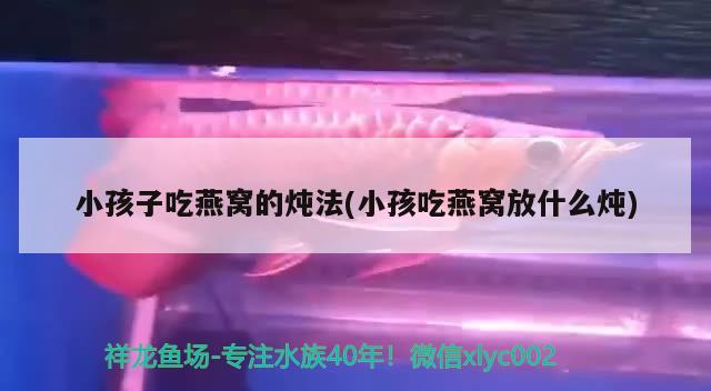 小孩子吃燕窩的燉法(小孩吃燕窩放什么燉) 馬來西亞燕窩