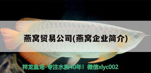 燕窩貿(mào)易公司(燕窩企業(yè)簡介) 馬來西亞燕窩 第2張