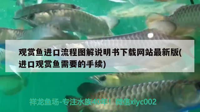 觀賞魚進(jìn)口流程圖解說明書下載網(wǎng)站最新版(進(jìn)口觀賞魚需要的手續(xù)) 觀賞魚進(jìn)出口