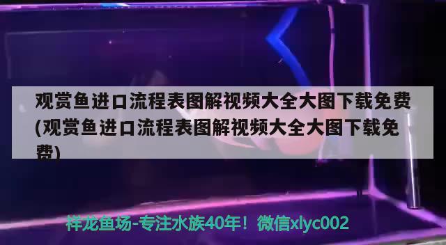 觀賞魚進口流程表圖解視頻大全大圖下載免費(觀賞魚進口流程表圖解視頻大全大圖下載免費) 觀賞魚進出口