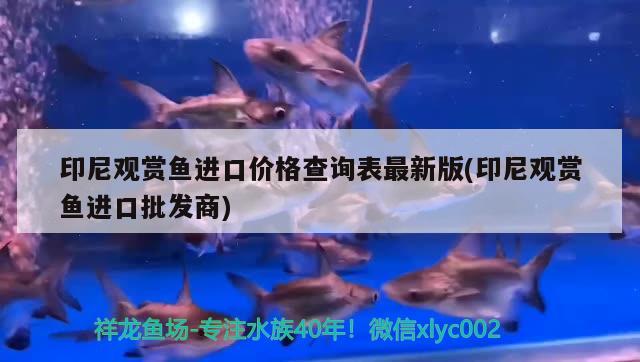 印尼觀賞魚進口價格查詢表最新版(印尼觀賞魚進口批發(fā)商)