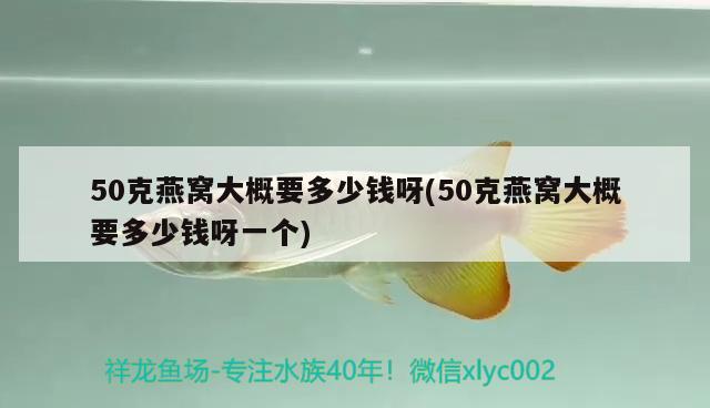 50克燕窩大概要多少錢呀(50克燕窩大概要多少錢呀一個)