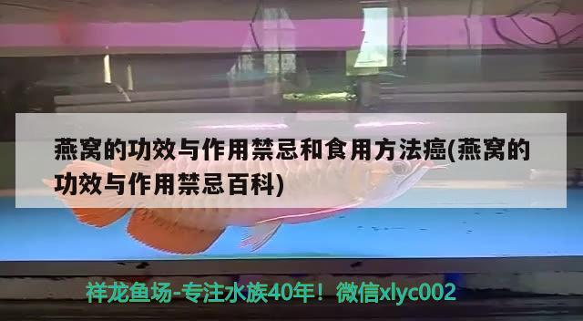 燕窩的功效與作用禁忌和食用方法癌(燕窩的功效與作用禁忌百科) 馬來西亞燕窩