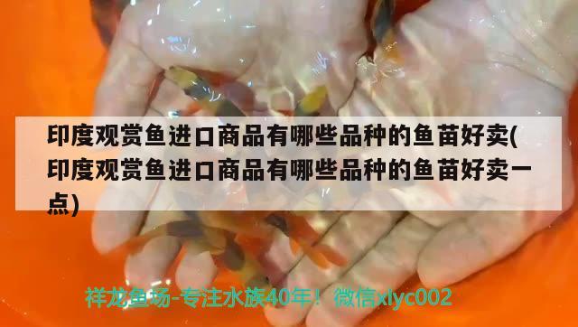 印度觀賞魚進(jìn)口商品有哪些品種的魚苗好賣(印度觀賞魚進(jìn)口商品有哪些品種的魚苗好賣一點(diǎn)) 觀賞魚進(jìn)出口