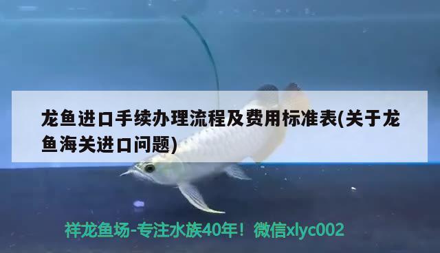 龍魚進(jìn)口手續(xù)辦理流程及費(fèi)用標(biāo)準(zhǔn)表(關(guān)于龍魚海關(guān)進(jìn)口問題) 觀賞魚進(jìn)出口