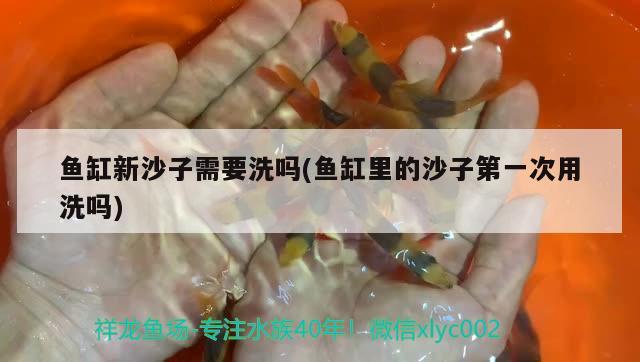 魚(yú)缸新沙子需要洗嗎(魚(yú)缸里的沙子第一次用洗嗎)