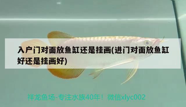 入戶門對(duì)面放魚缸還是掛畫(進(jìn)門對(duì)面放魚缸好還是掛畫好)