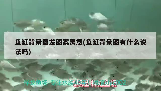 魚缸背景圖龍圖案寓意(魚缸背景圖有什么說法嗎) 斑馬鴨嘴魚