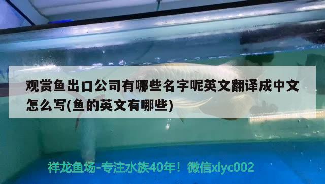 觀賞魚出口公司有哪些名字呢英文翻譯成中文怎么寫(魚的英文有哪些) 觀賞魚進(jìn)出口