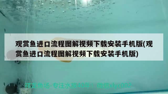 觀賞魚進(jìn)口流程圖解視頻下載安裝手機(jī)版(觀賞魚進(jìn)口流程圖解視頻下載安裝手機(jī)版) 觀賞魚進(jìn)出口