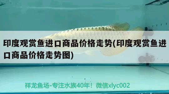 印度觀賞魚進(jìn)口商品價(jià)格走勢(印度觀賞魚進(jìn)口商品價(jià)格走勢圖)