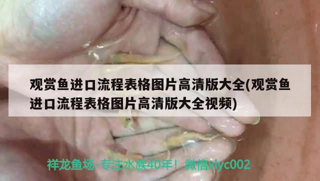 觀賞魚進口流程表格圖片高清版大全(觀賞魚進口流程表格圖片高清版大全視頻) 觀賞魚進出口