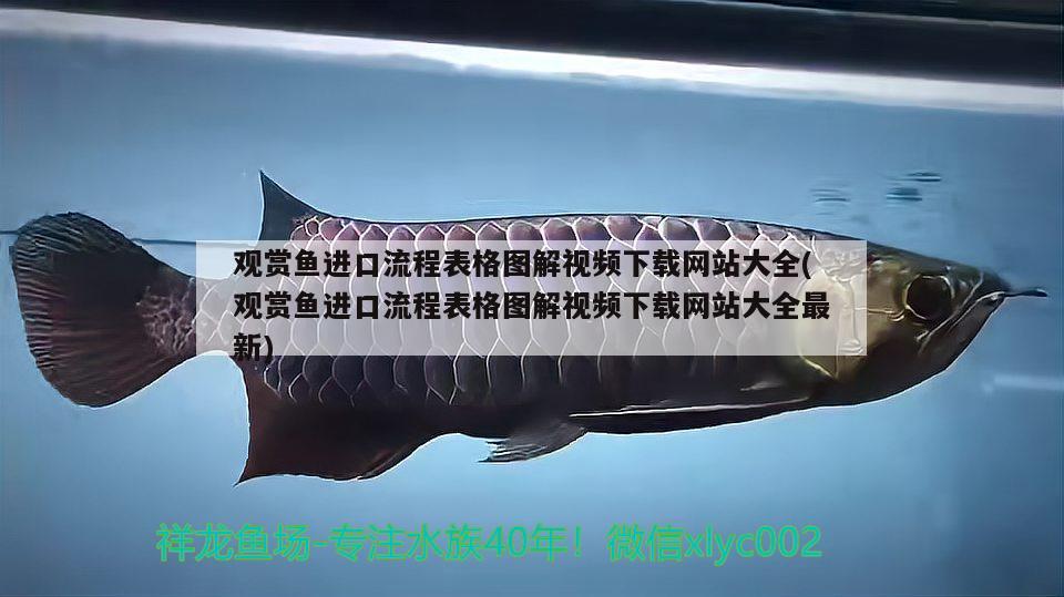 觀賞魚進(jìn)口流程表格圖解視頻下載網(wǎng)站大全(觀賞魚進(jìn)口流程表格圖解視頻下載網(wǎng)站大全最新)