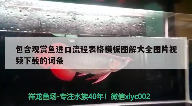 包含觀賞魚進口流程表格模板圖解大全圖片視頻下載的詞條 觀賞魚進出口