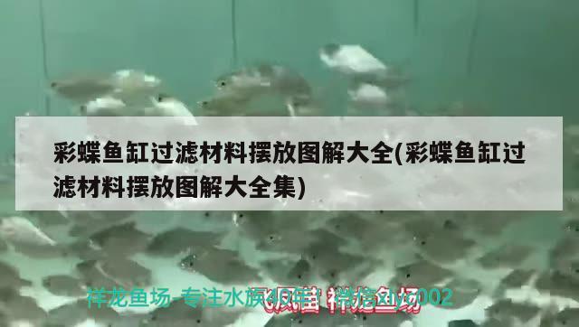 彩蝶魚缸過濾材料擺放圖解大全(彩蝶魚缸過濾材料擺放圖解大全集) 廣州水族器材濾材批發(fā)市場(chǎng)