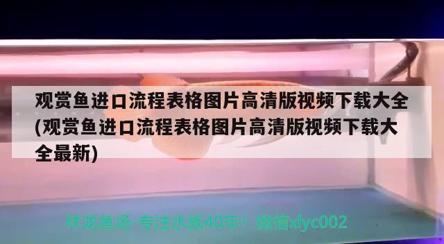 觀賞魚進口流程表格圖片高清版視頻下載大全(觀賞魚進口流程表格圖片高清版視頻下載大全最新) 觀賞魚進出口