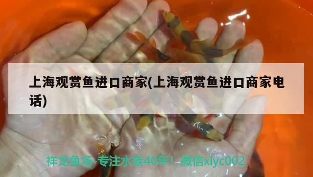 上海觀賞魚進口商家(上海觀賞魚進口商家電話)