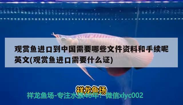 觀賞魚進(jìn)口到中國(guó)需要哪些文件資料和手續(xù)呢英文(觀賞魚進(jìn)口需要什么證) 觀賞魚進(jìn)出口